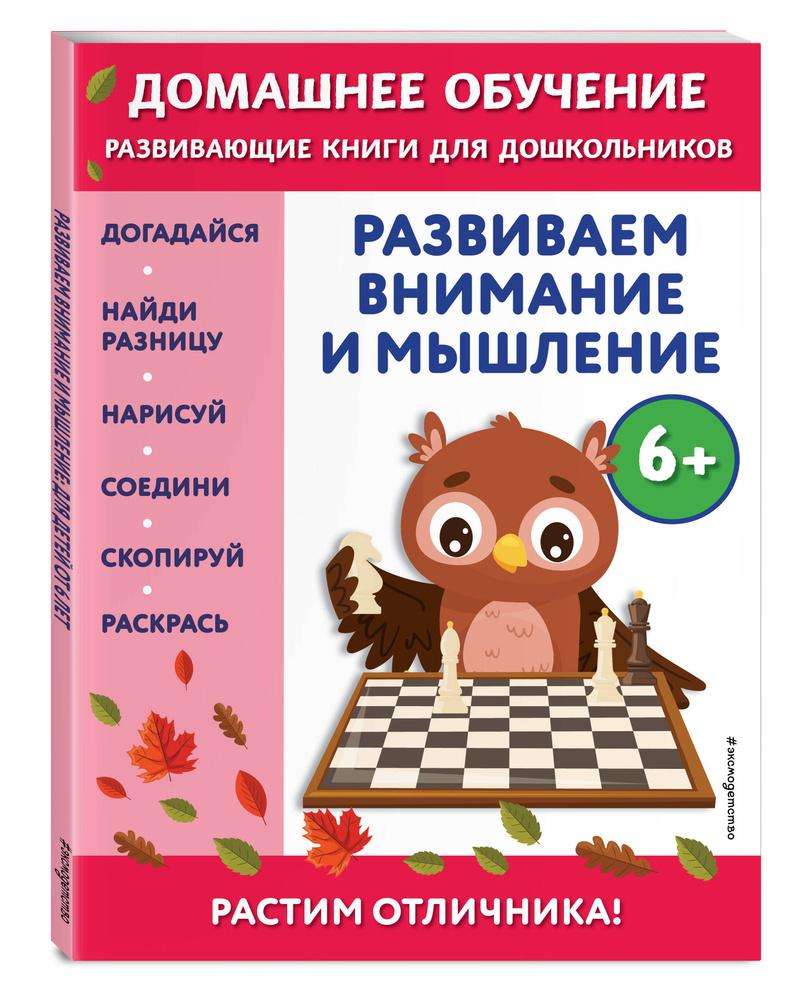 Развиваем внимание и мышление: для детей от 6 лет | Динч Беркай - купить с  доставкой по выгодным ценам в интернет-магазине OZON (714685742)