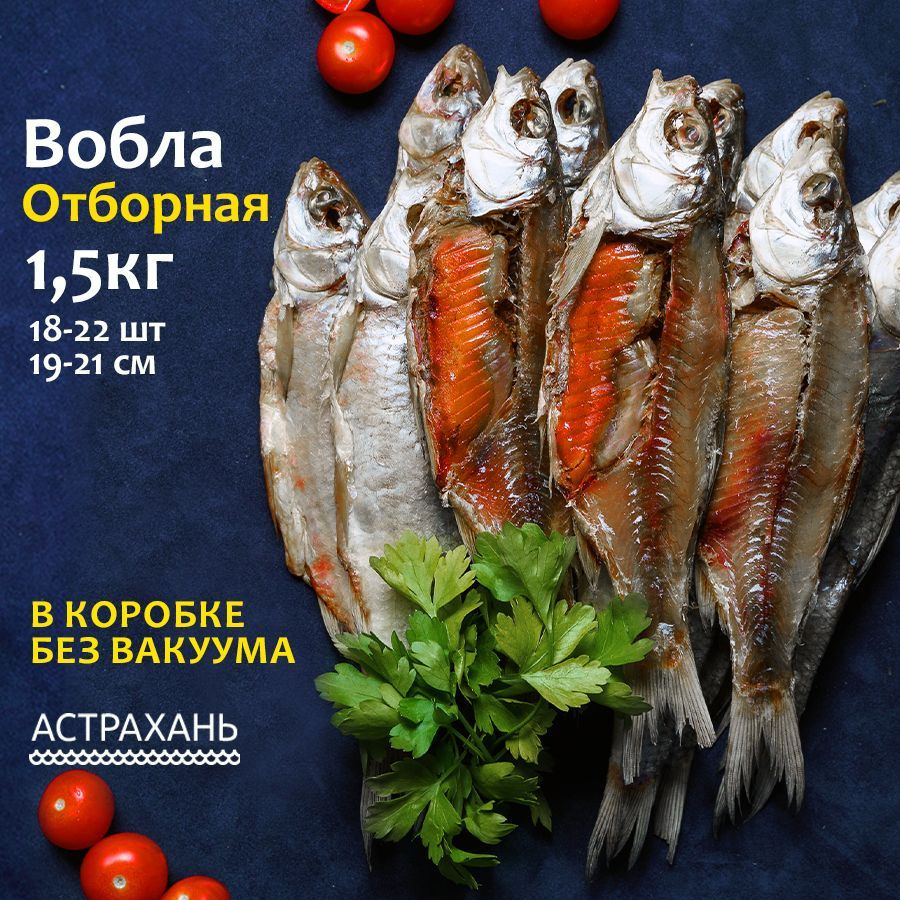 Вобла астраханская с икрой Отборная 1,5 кг (19-21 см) в коробке без вакуума  вяленая рыба закуска к пиву