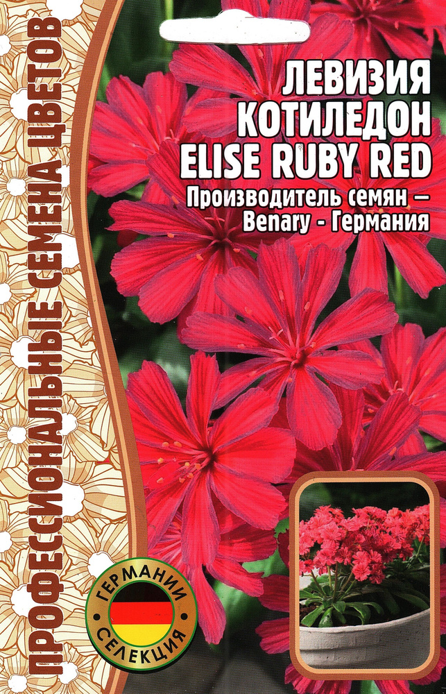 Левизия Котиледон / ELISE RUBY RED, многолетник ( 1 уп: 3 семени ) #1