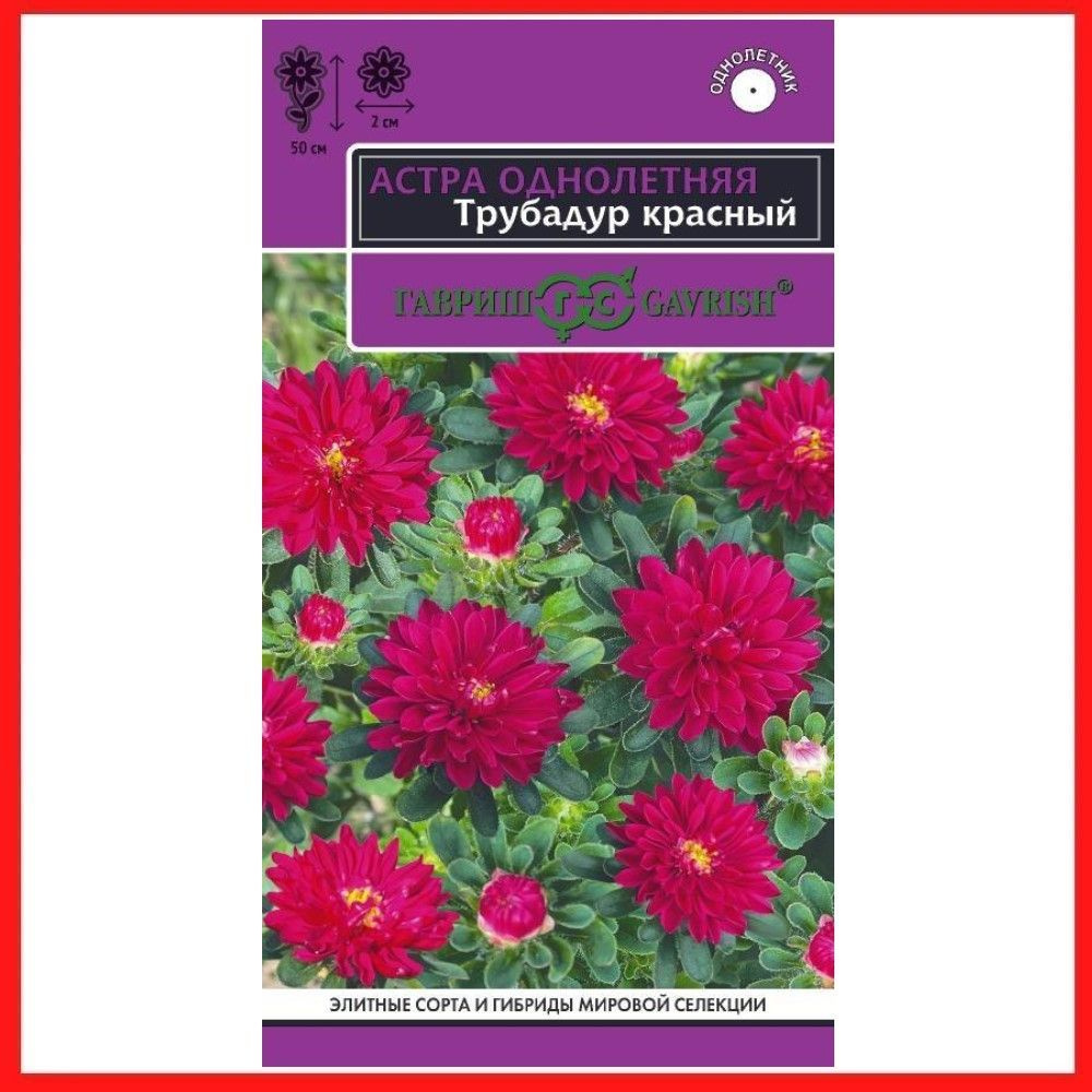 Семена Астра "Трубадур красный" 0,05 гр, однолетние цветы для дачи, сада и огорода, клумбы, в открытый #1