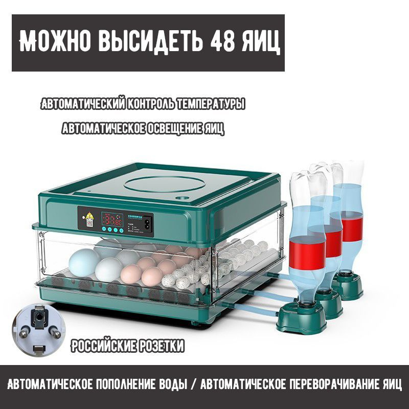 Инкубатор на 48 яиц с автоматическим поворотом яиц для повышенной ...