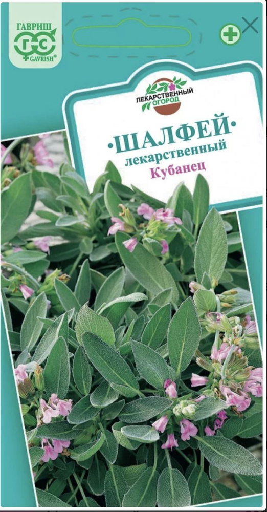 Шалфей лекарственный Кубанец, 1 пакет, семена 0,3 гр, Гавриш, лекарственные травы  #1