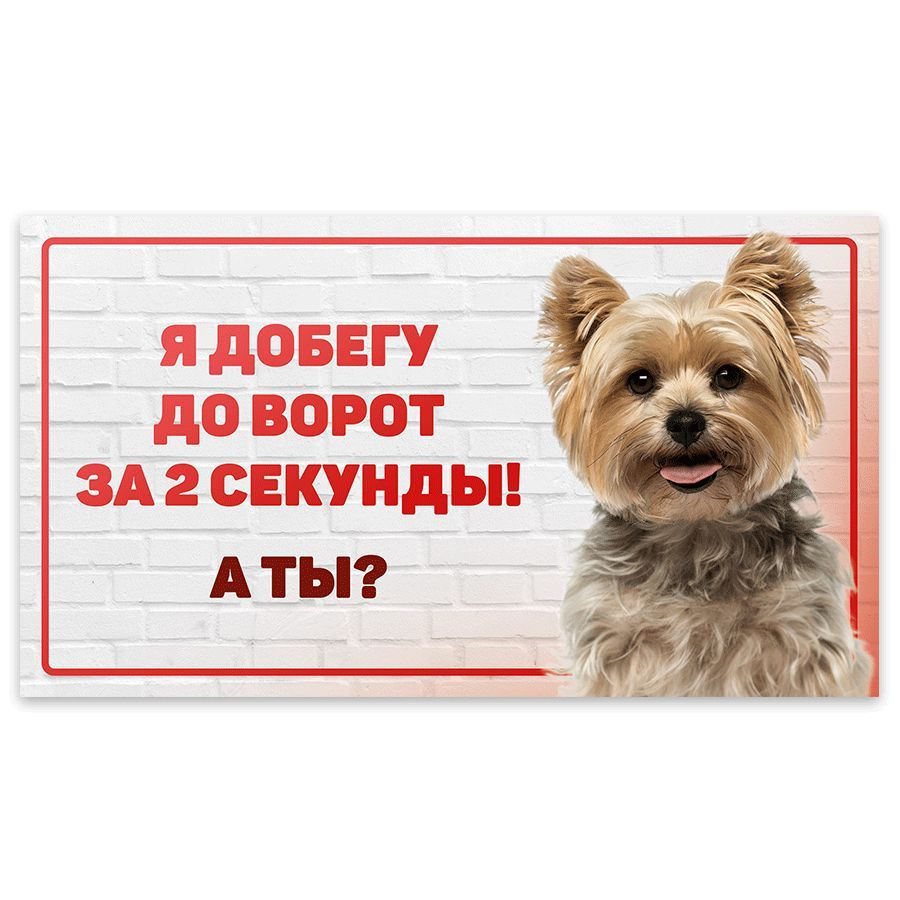 Табличка, с юмором, прикол, DANGER DOG, Йоркширский терьер, 25x14 см, 25  см, 14 см - купить в интернет-магазине OZON по выгодной цене (1079759697)