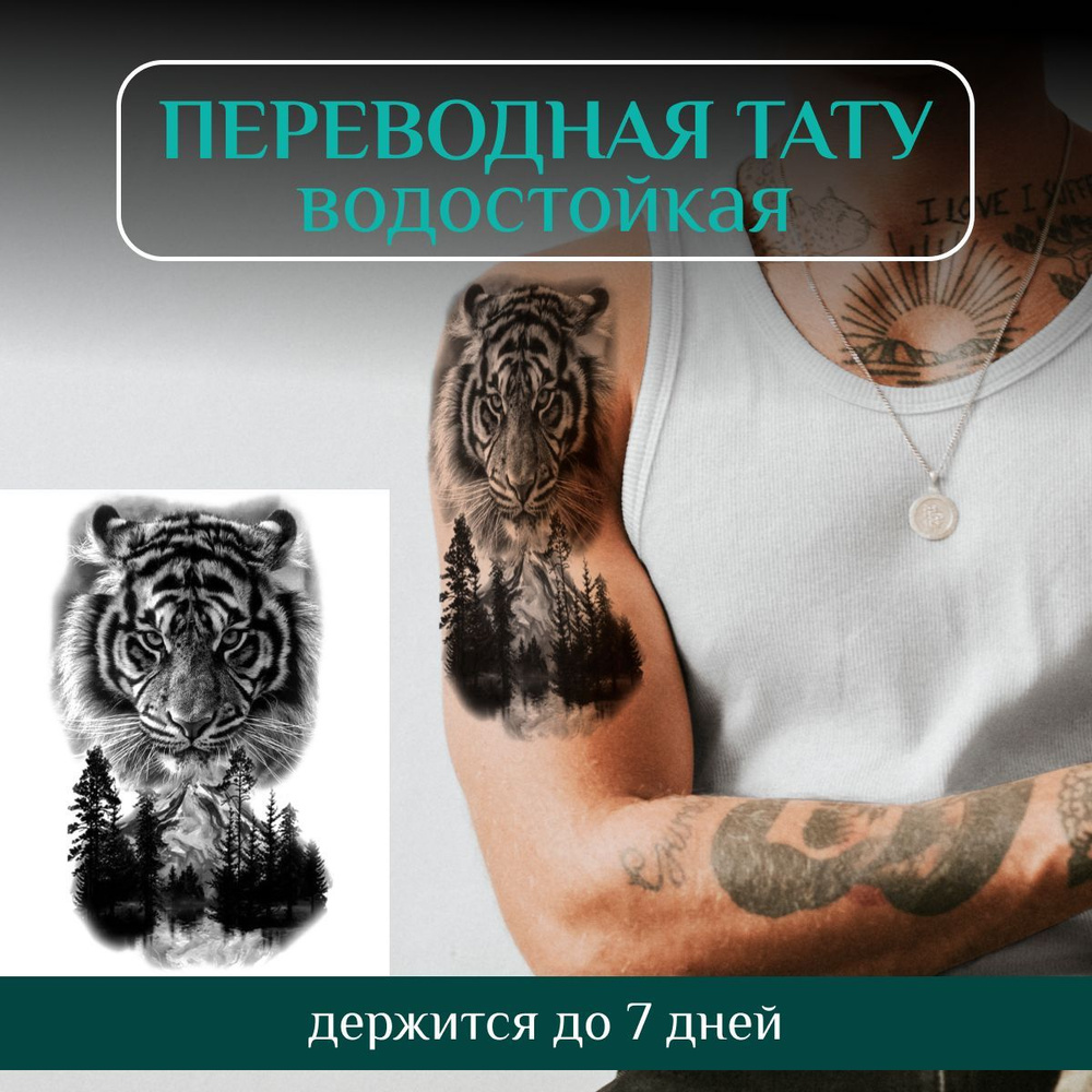 Новости TATTOO-SPB