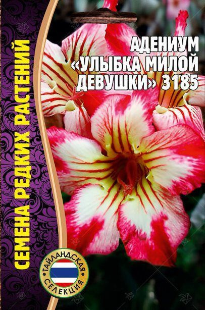 семена, адениум - Улыбка милой девушки, 1 пачка 3 семечки. Григорьев  #1