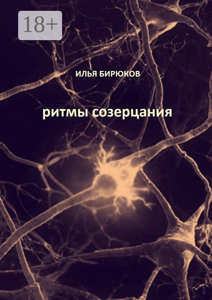 Ритмы созерцания | Бирюков Илья #1