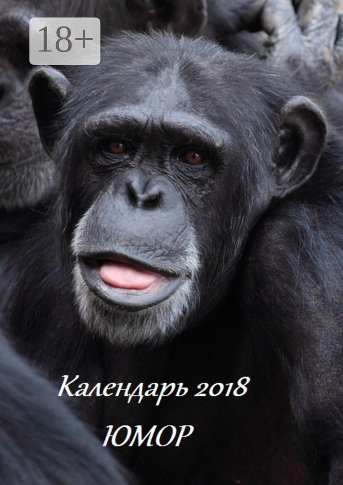 Календарь 2018. Юмор | Лукас Стефания #1