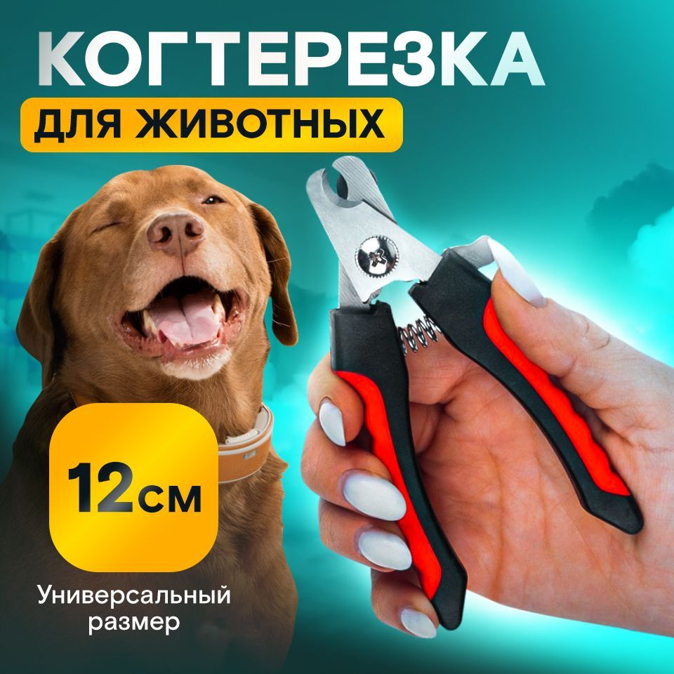 Когтерез для кошек и собак, с ограничителем длинны/ Для животных маленьких  и средних пород/ ножницы для стрижки когтей - купить с доставкой по  выгодным ценам в интернет-магазине OZON (1142260681)