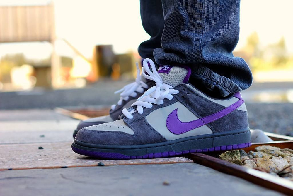 Nike Dunk Low SB Heels