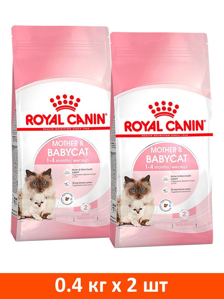 Royal canin babycat clearance 34