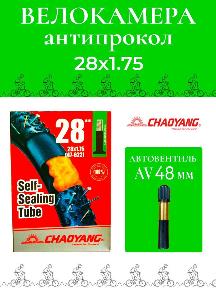 Велокамера #1