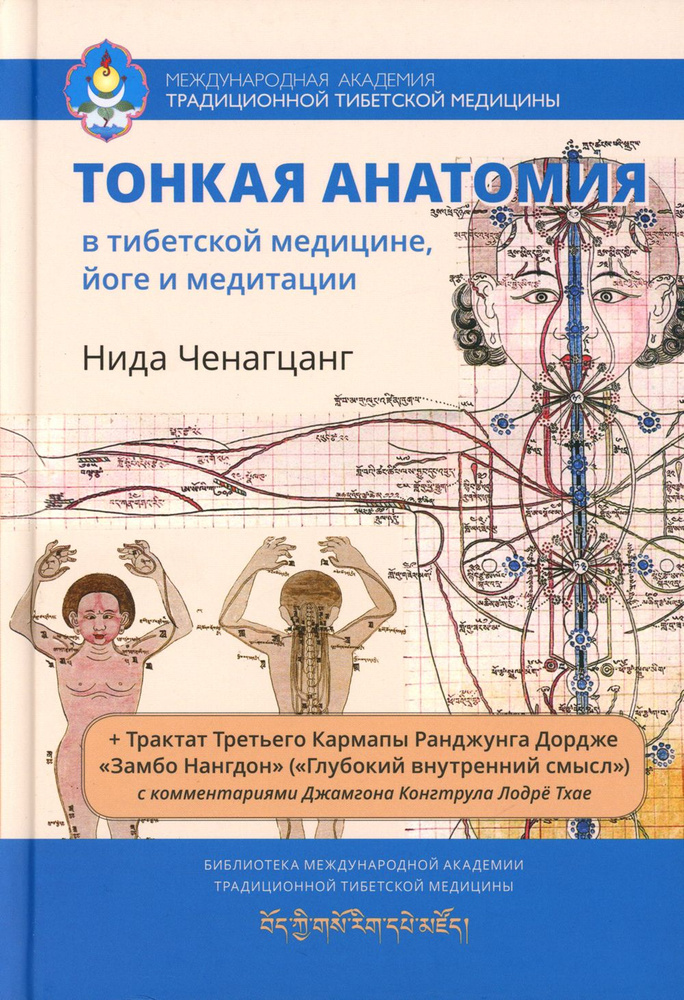Тонкая анатомия в тибетской медицине, йоге и медитации. Ключ к энергетической структуре человека  #1