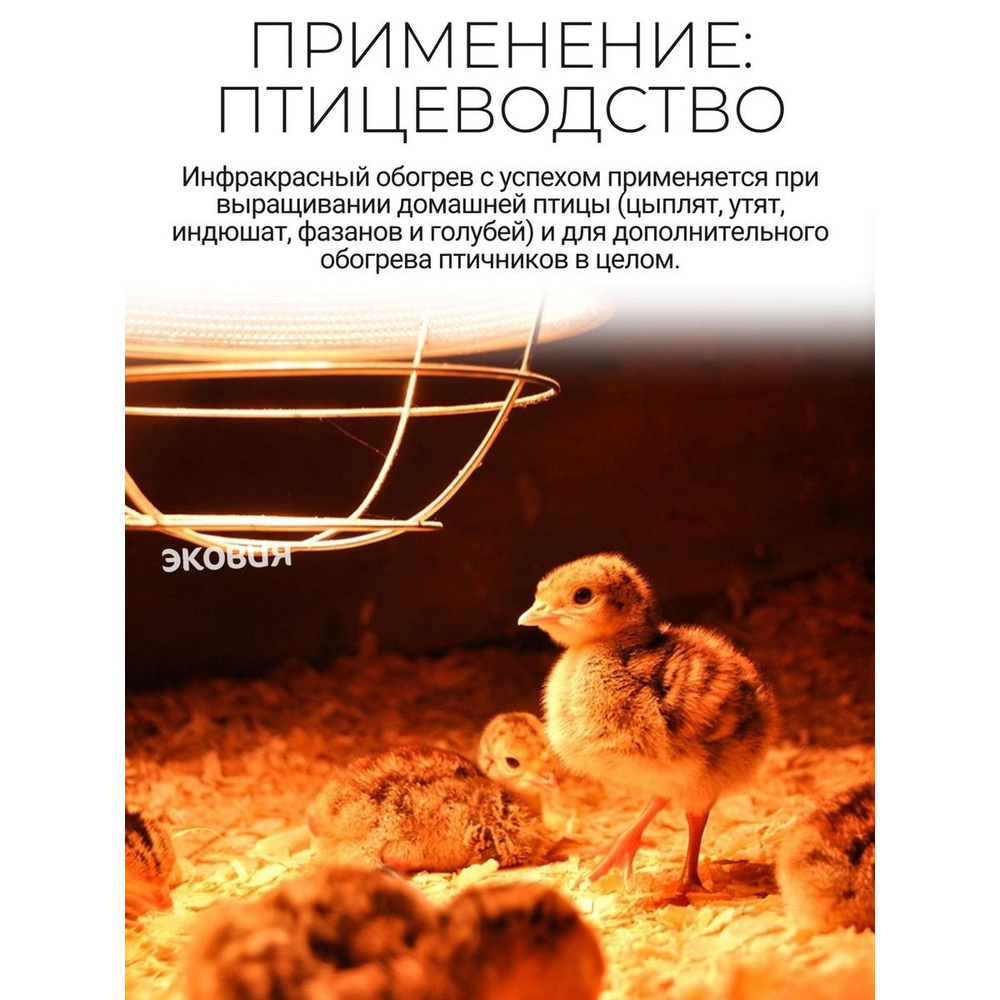 Инфракрасная лампа для курятника, для обогрева брудера - купить с ...