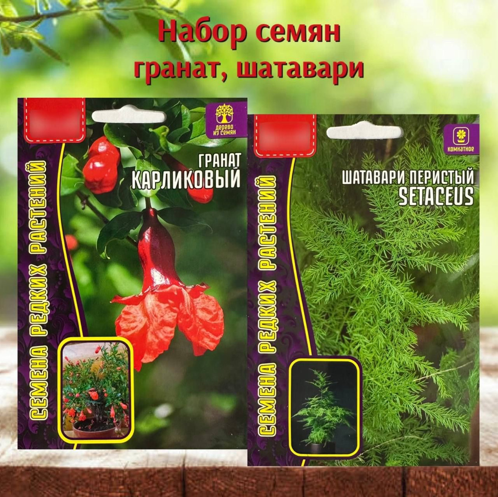 Семена #1