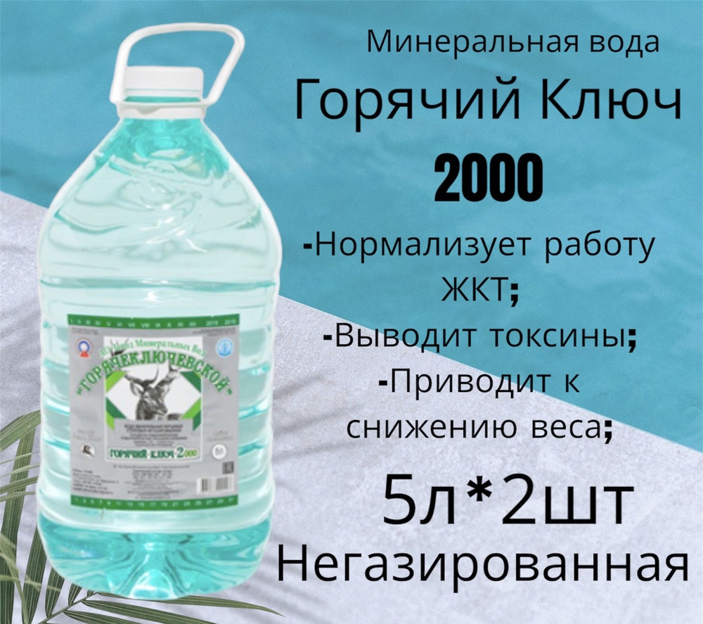 Вода Горячий Ключ 2000. Объем 5л*2шт. Вода минеральная питьевая негазированная целебная лечебная, выводит #1