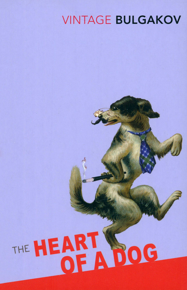 Heart of a Dog / Bulgakov Mikhail / Книга на Английском / Собачье ...