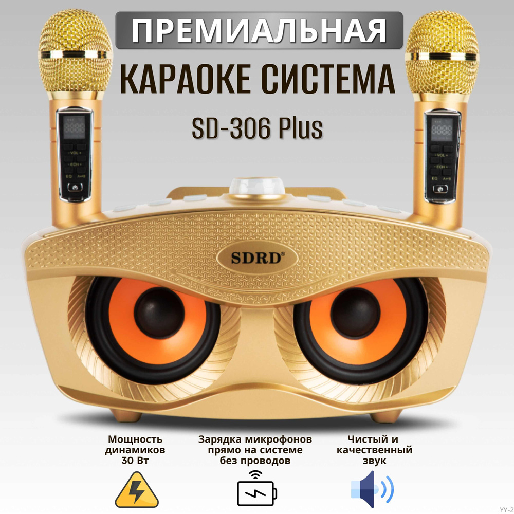 Караоке система беспроводная с двумя беспроводными микрофонами SDRD SD ...