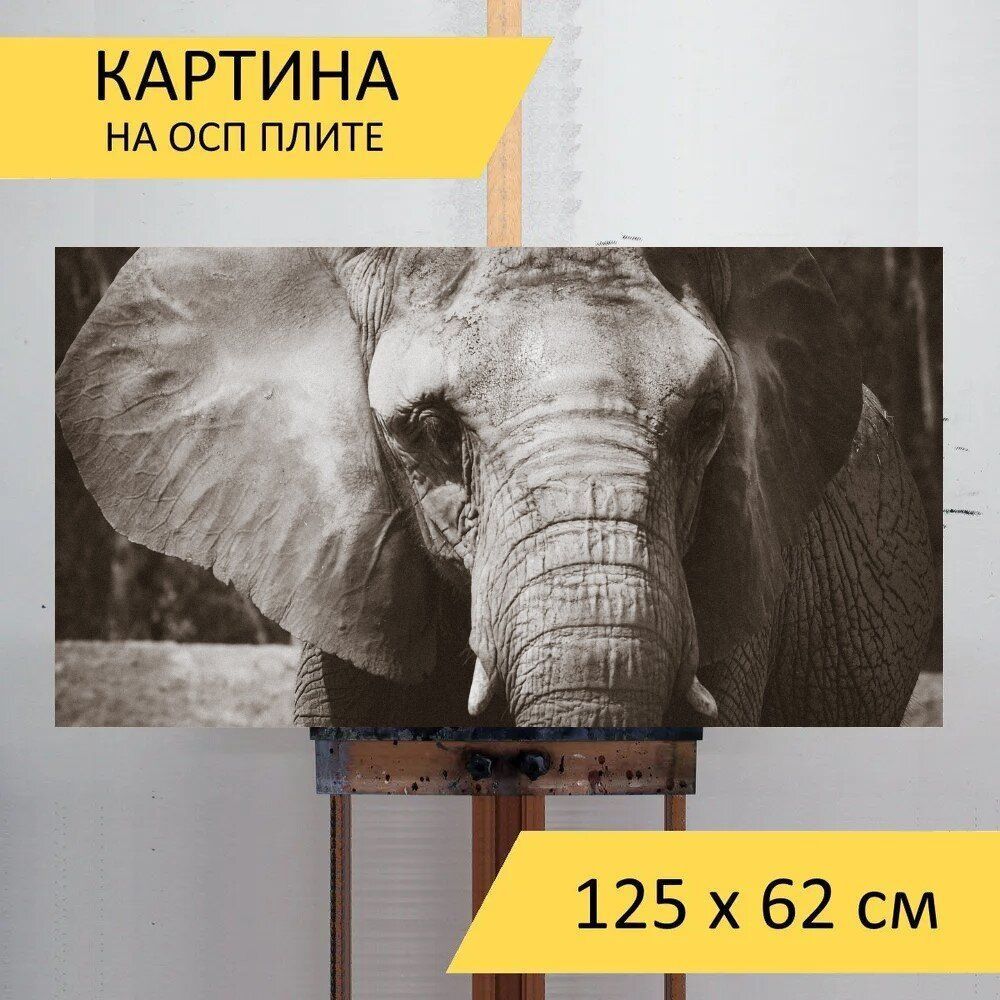 LotsPrints Картина "Слон, африка, животное 87", 125  х 62 см #1