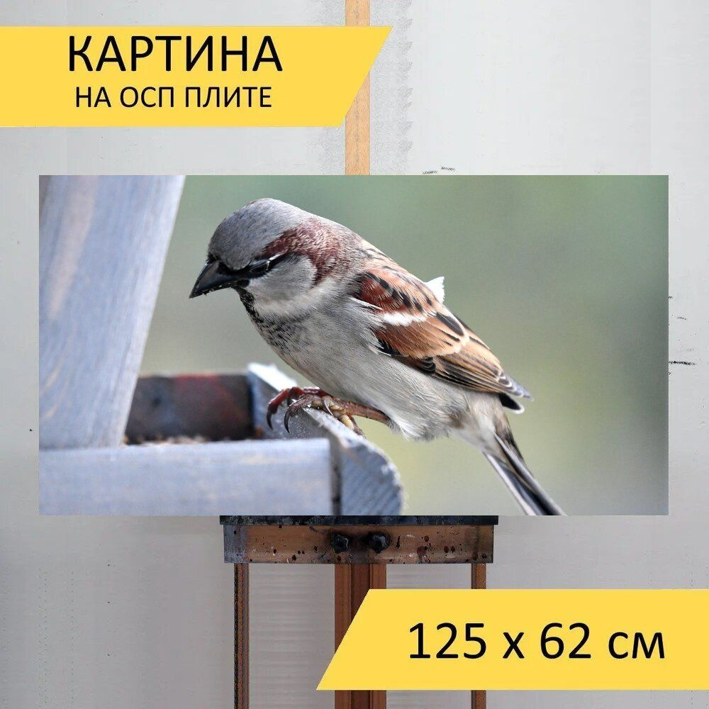 Картина птиц 