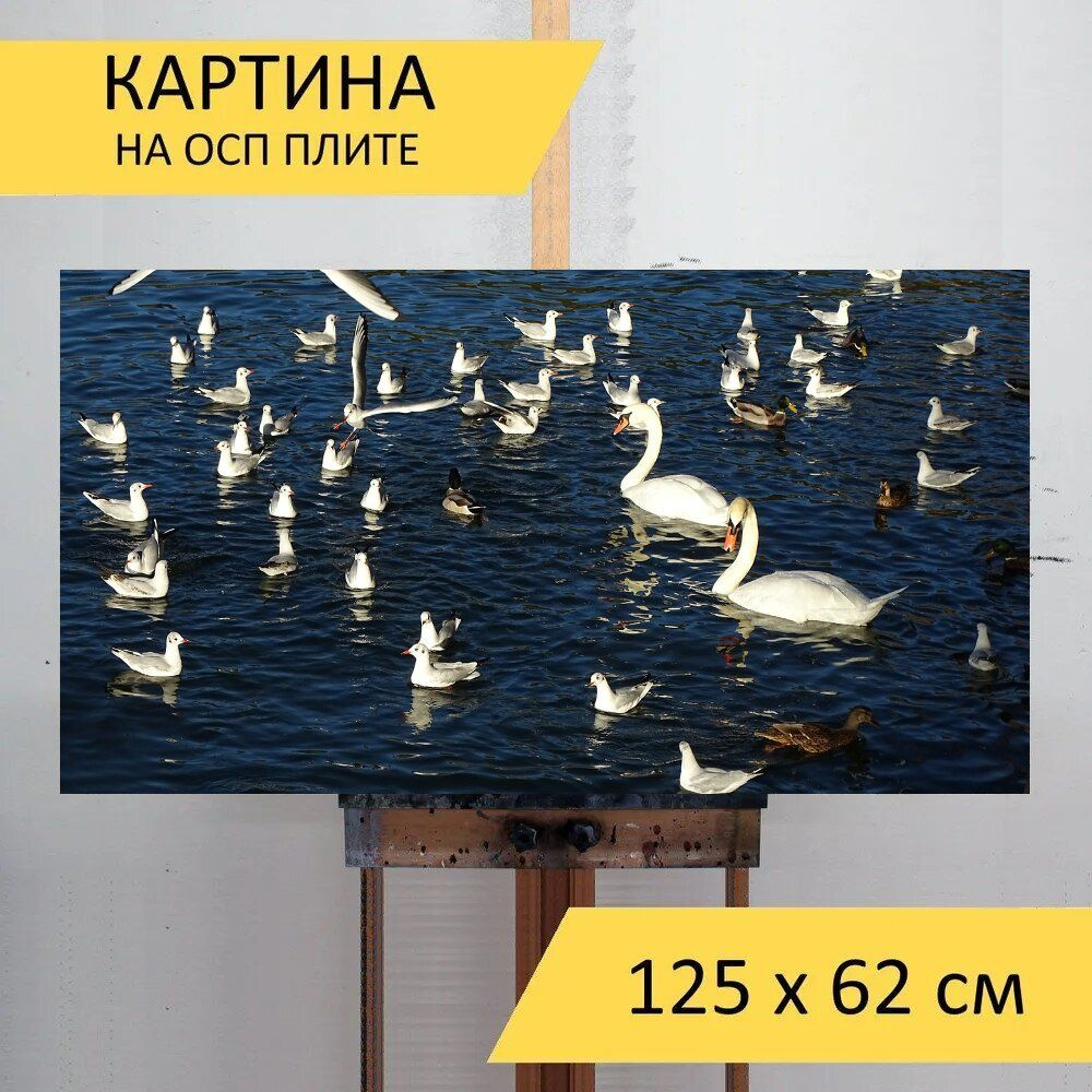 Картина птиц 