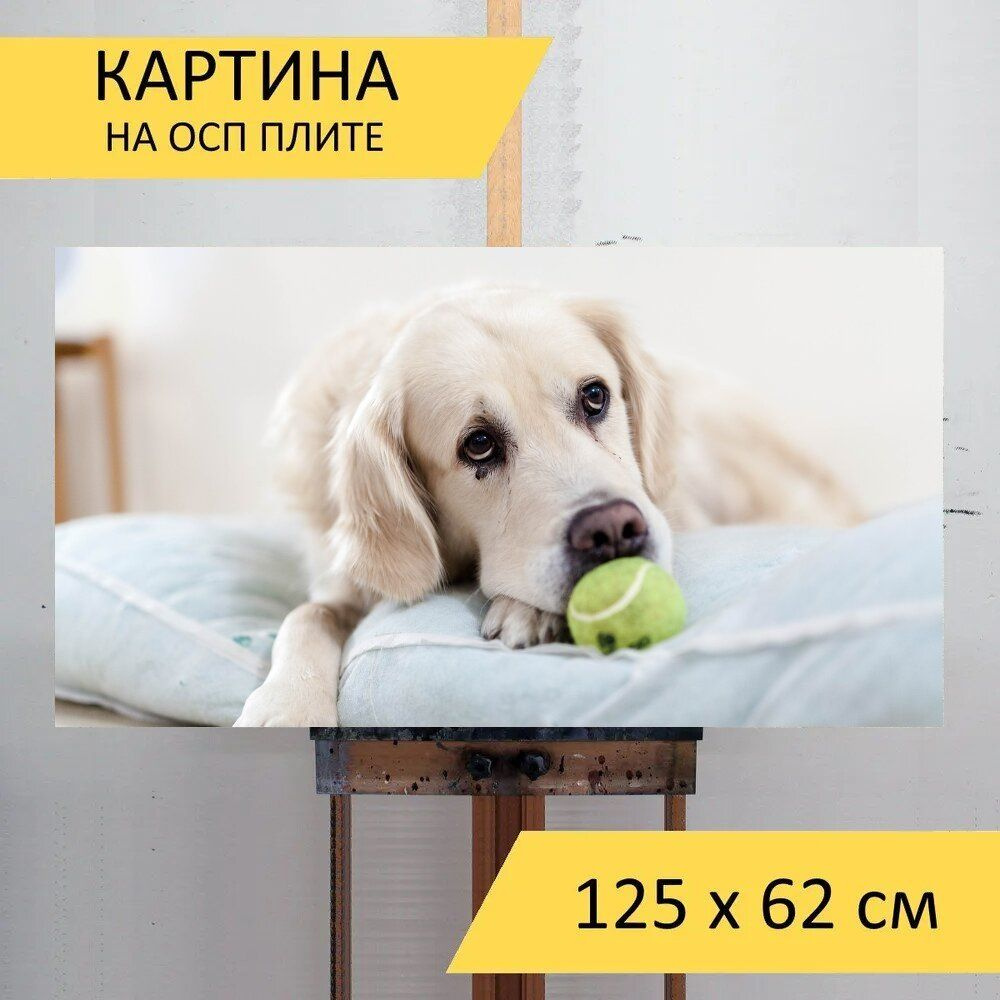 Картина животных 