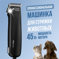 Мощный продажа пуделя кошек по отличным ценам - malino-v.ru