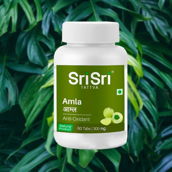 Индийский Крыжовник Amla – купить в интернет-магазине OZON по низкой цене