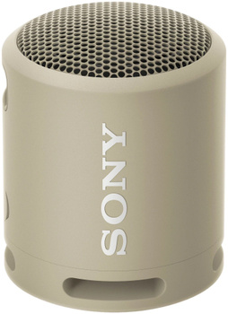 Sony xb10 bluetooth speaker sales price