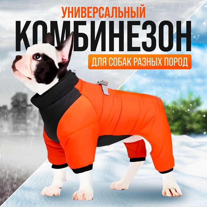 Комбинезон для собак мелких и средних пород, теплая одежда для собак ...