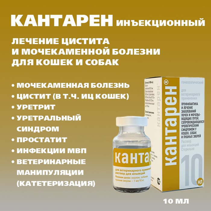 Кантарен. Кантарен капли.