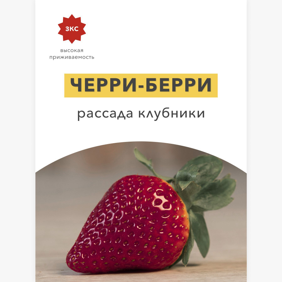 Текст cherry berry. Черри Берри клубника. Черри клубничный поцелуй. Земляника черри блоссом. Земляника черри Берри поиск.