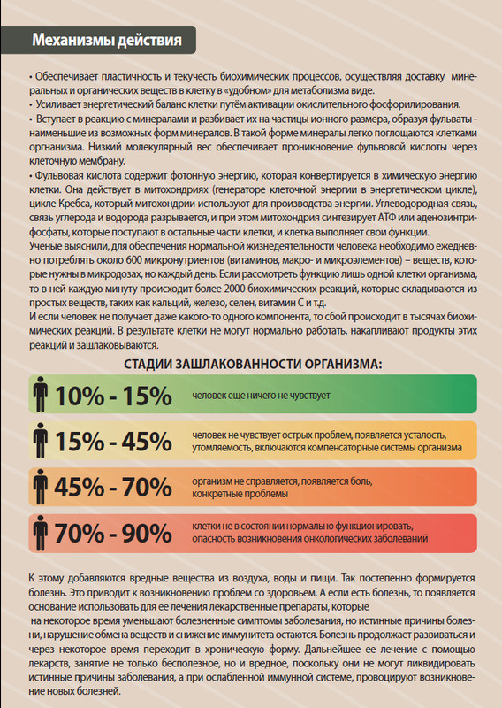 Текстовое описание изображения