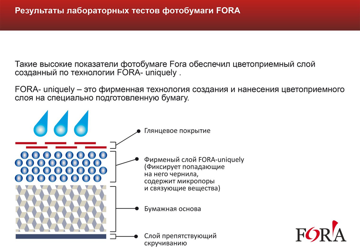 Текстовое описание изображения