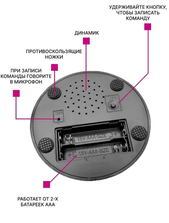 Текстовое описание изображения