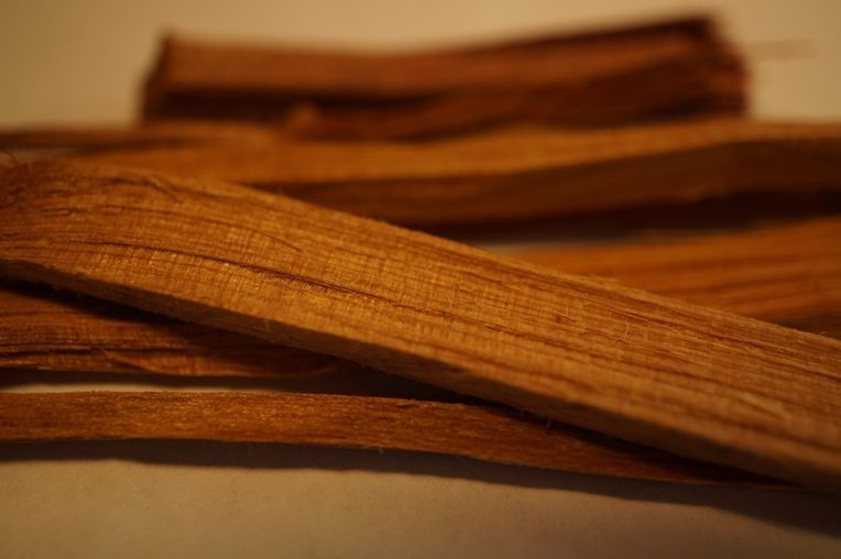 Цвет сантал в коже. Красный сандал дерево. Сандал сантал. Сандал сантал. Сандаловое дерево чили.