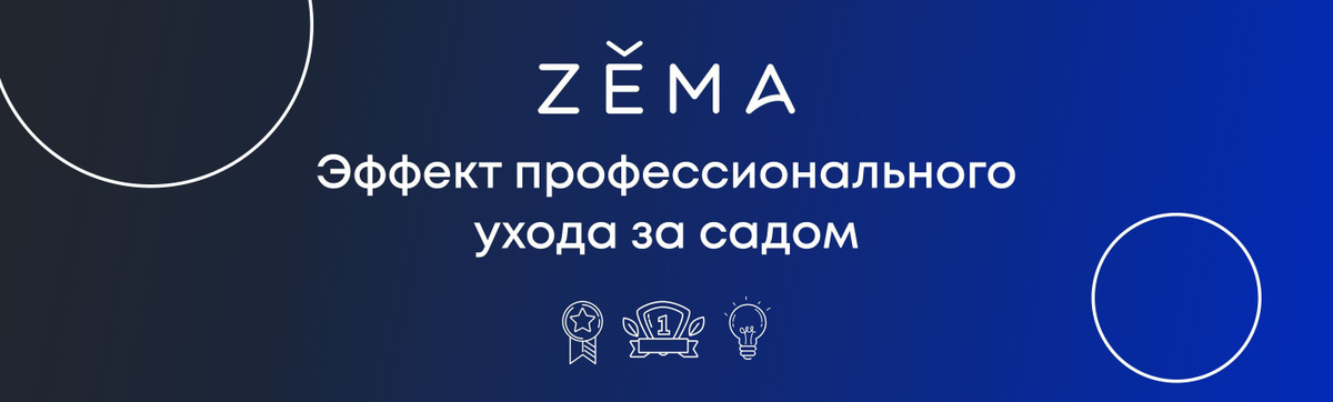 Опрыскиватель аккумуляторный садовый для растений 5л Zema купить на ...