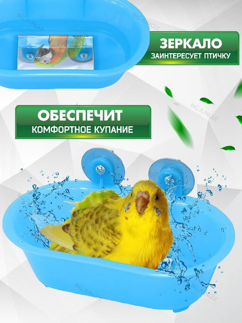 Купальня для волнистых попугаев 🦜 Советы с фото и видео | 7petdays