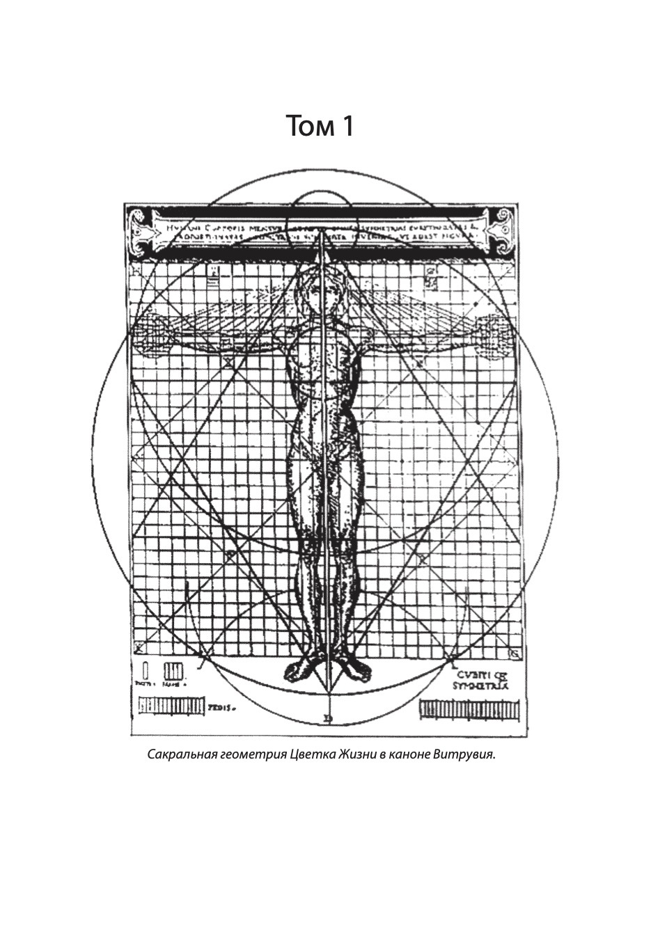 Древняя тайна Цветка Жизни | The Ancient Secret of The Flower of Life - Ozon image 7