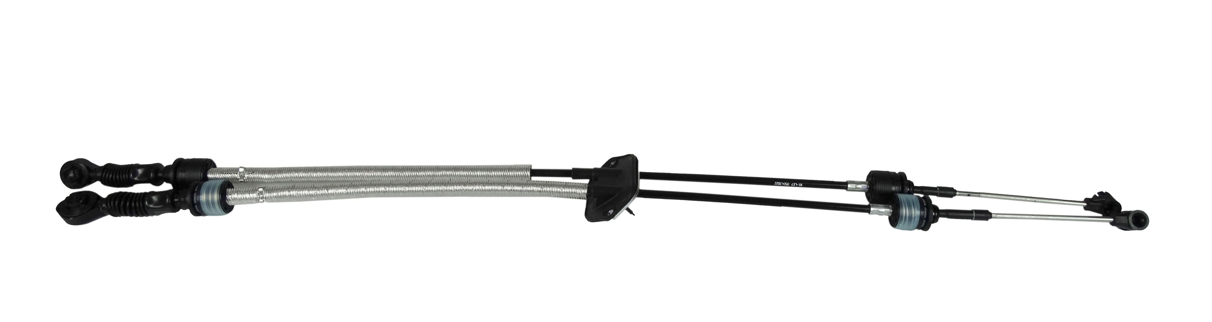 マリー 6476373015.jpg