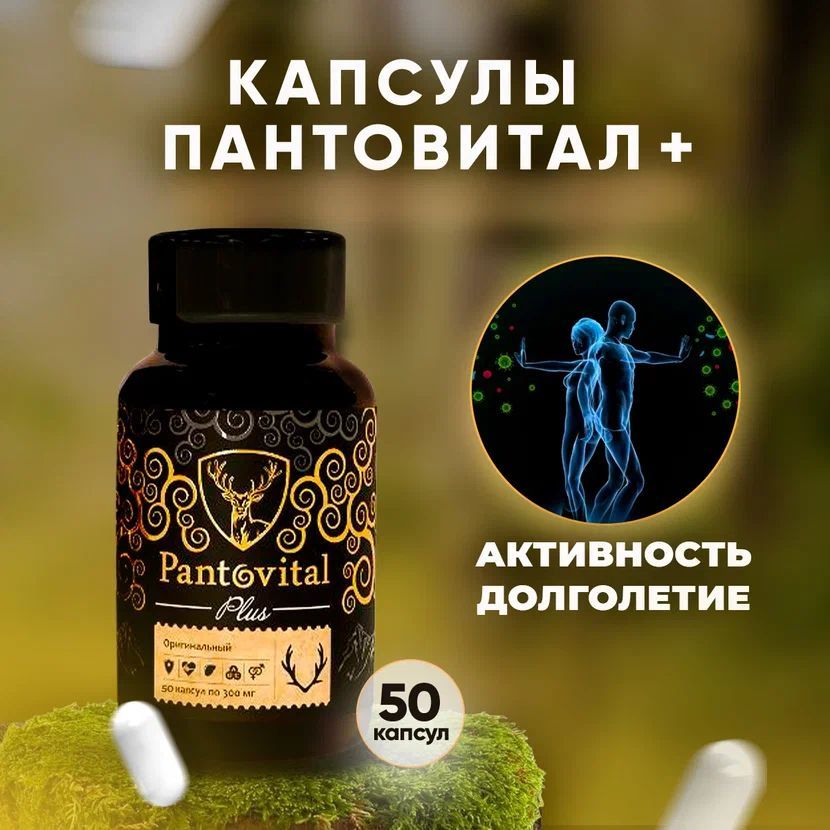 , ,  , -,    ,  50    OZON    (1118477546)