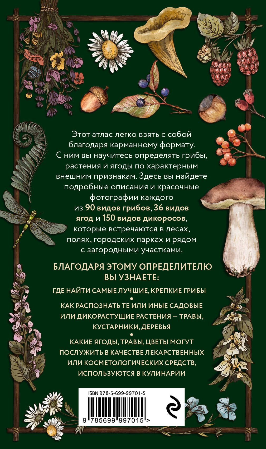 Лесной гид: грибы, ягоды, травы. Карманный атлас-определитель | Forest Guide: Mushrooms, Berries, Herbs. Pocket Identification Atlas - Ozon image 7