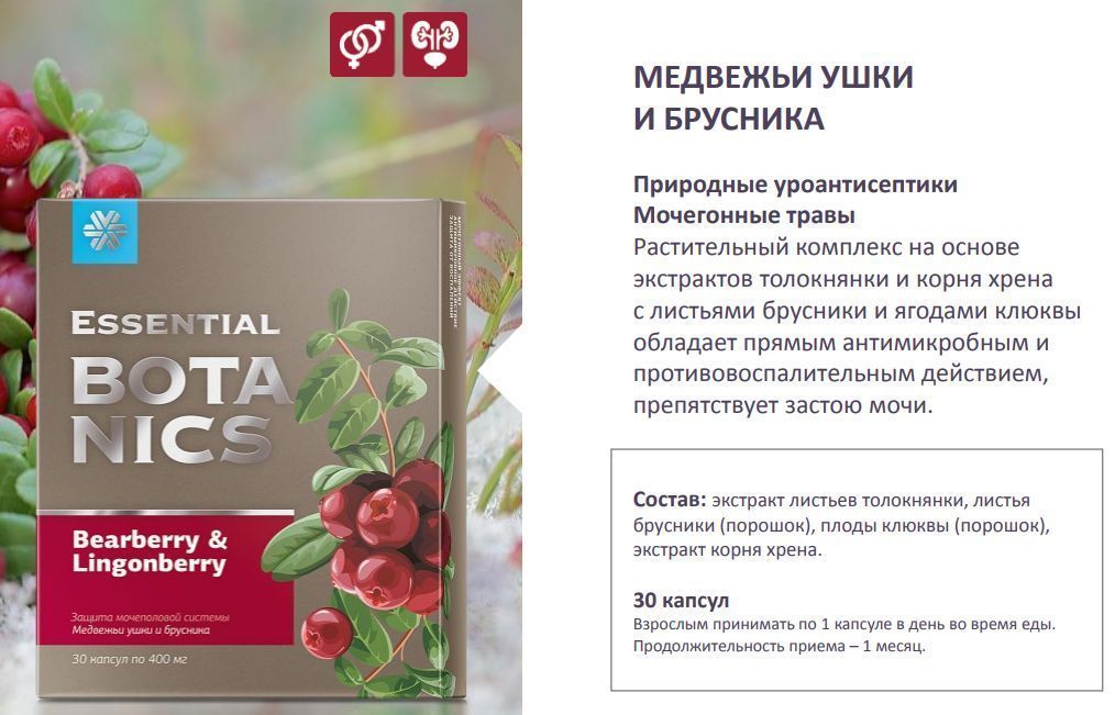 Медвежьи ушки и брусника. Медвежьи ушки и брусника - Essential Botanics. Essential Bota Hics Медвежьи ушки. Медвежьи ушки и брусника Сибирское здоровье. Медвежьи ушки Siberian Wellness.