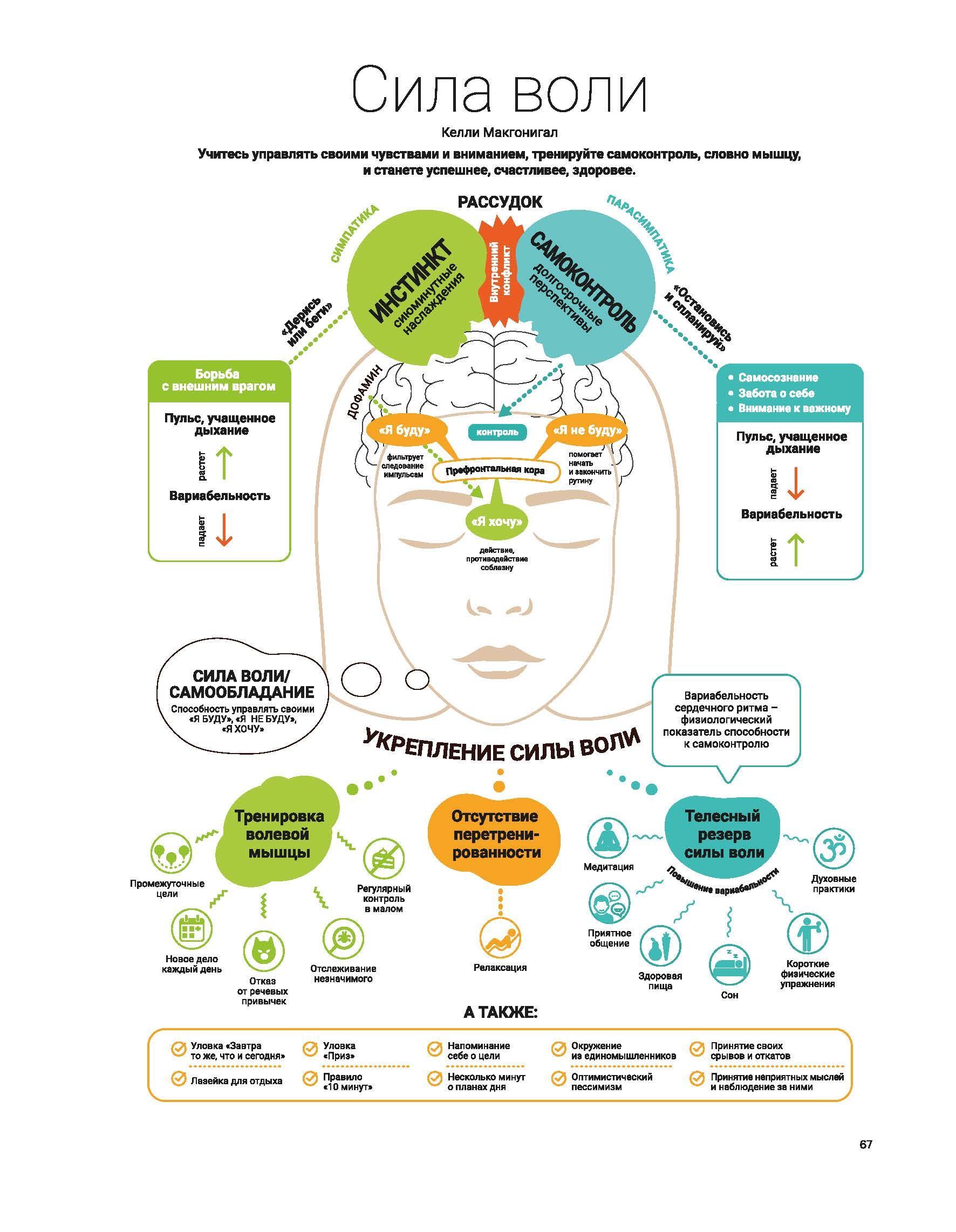 Год полезных привычек: Визуальный гид по освоению привычек ...