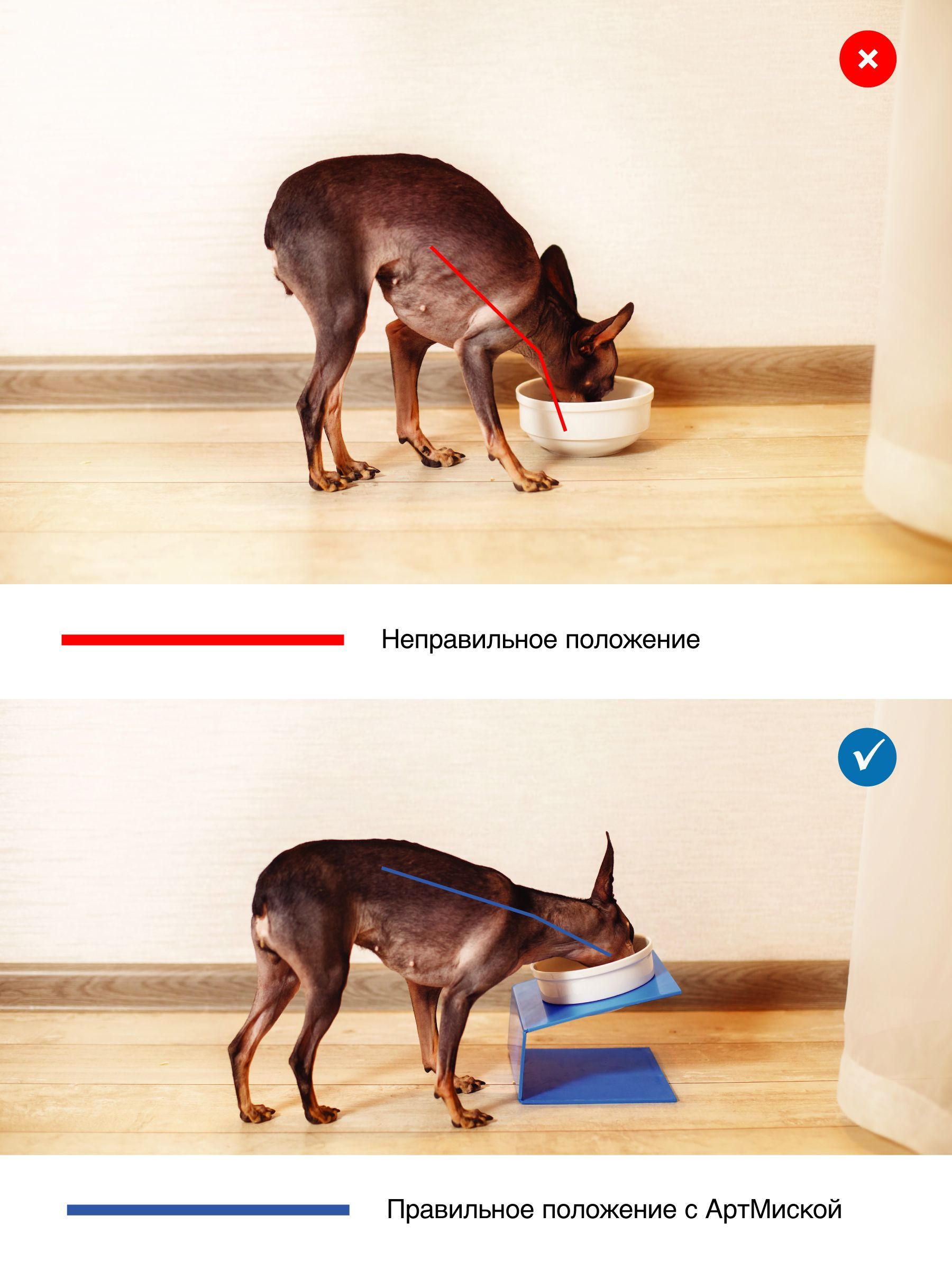 Миска для животных "Triol", 800 мл - купить в интернет-магазине по низкой цене н