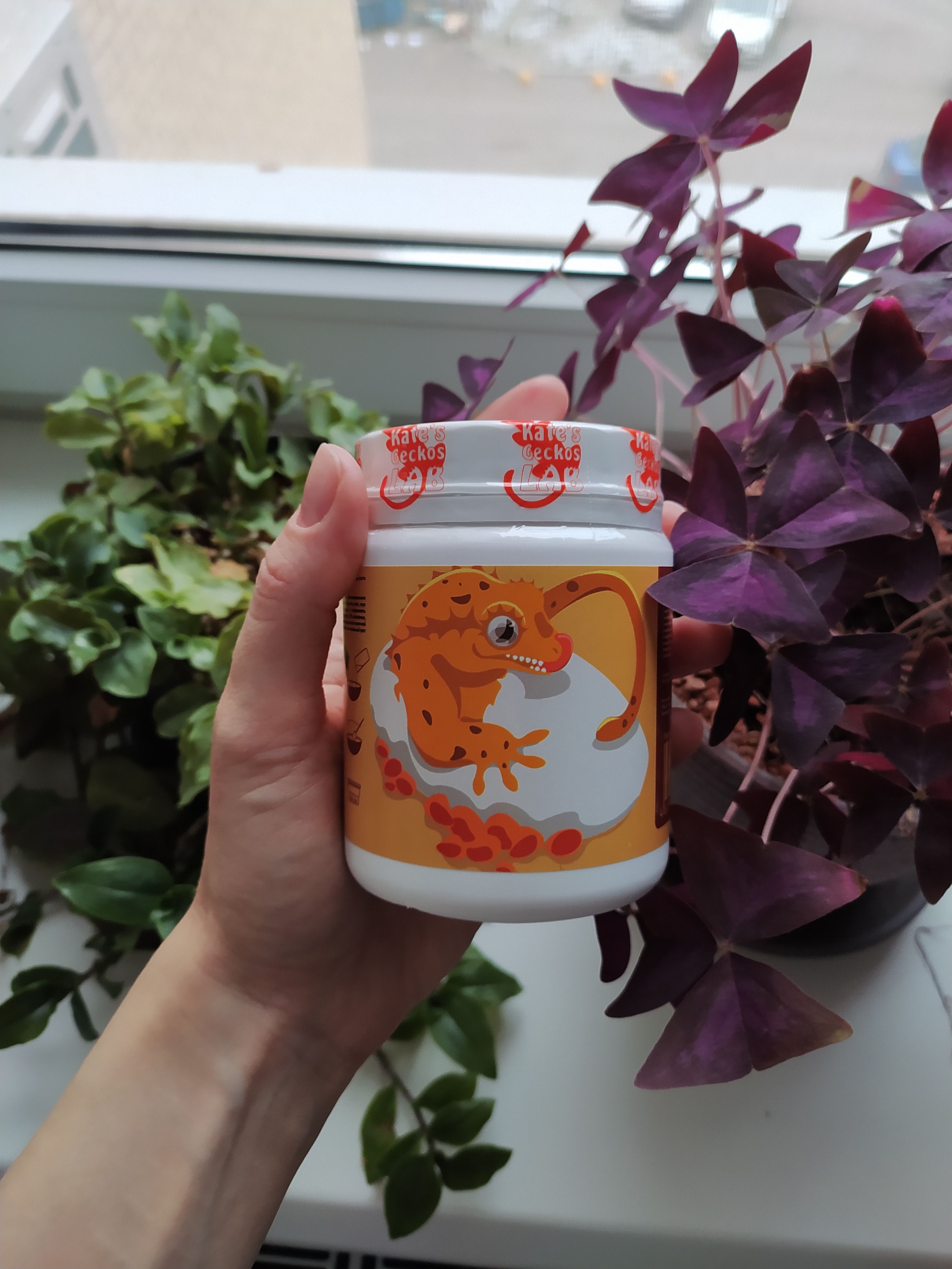 KatesGeckosLabYoungStars,Пюредлярептилийвпериодростаиоткладыванияяиц100гр