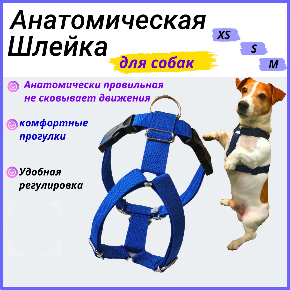 kormstroytorg.ru – Породы маленьких собак с фото и ценами - продажа собак и щенков