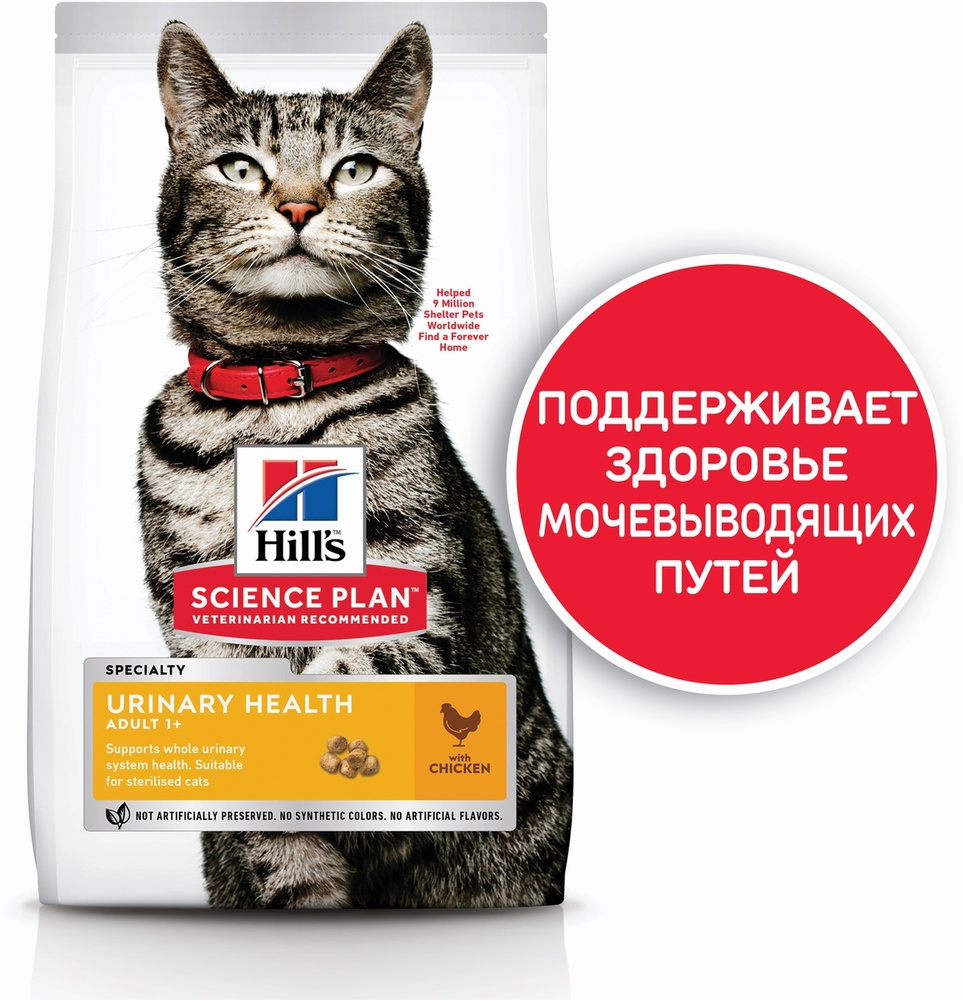 Science plan hot sale urinary cat food