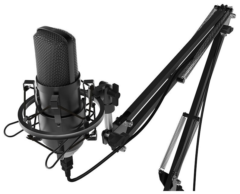 Микрофон студийный Ritmix RDM-169 Black - купить по выгодной цене в ...