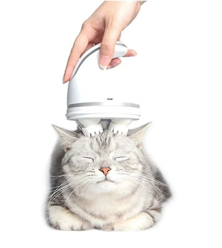 Электрический массажер для кошек, массажер для головы (белый) - купить с  доставкой по выгодным ценам в интернет-магазине OZON (1346720909)