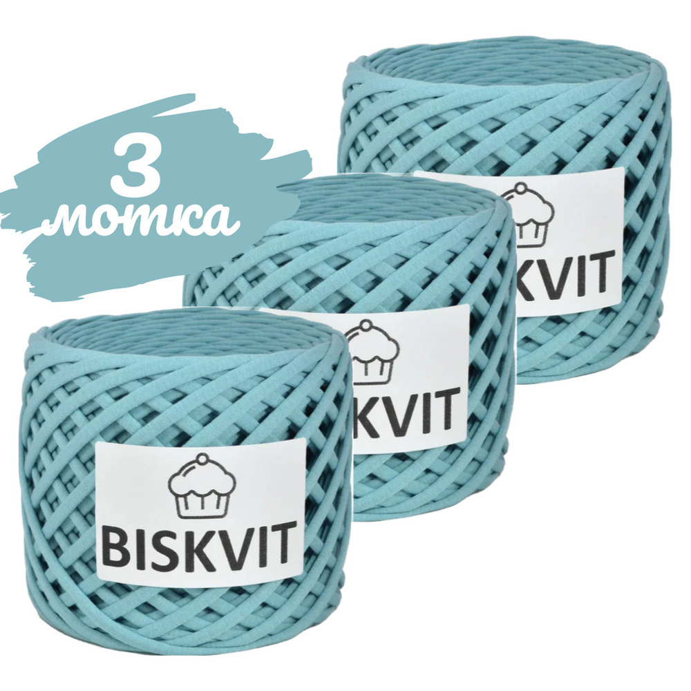 Трикотажная пряжа Biskvit пыльная мята, 100м., лицевая,3шт. (бисквит)  #1